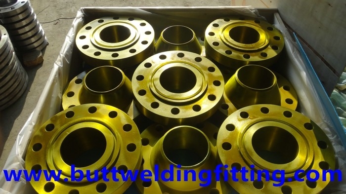 Industrial Hot Dip Galvanizing Forged Steel Flange ASME High Precise